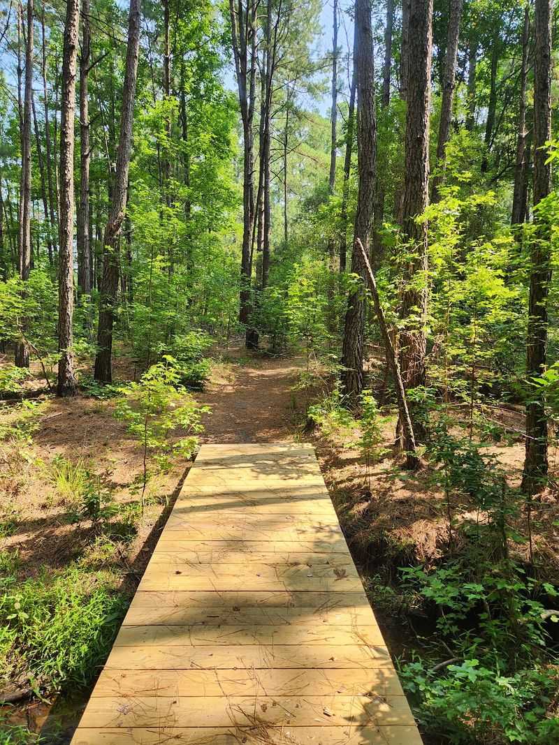Trails Where Wildlife Steals The Show