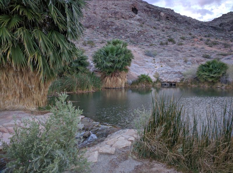 Rogers Spring