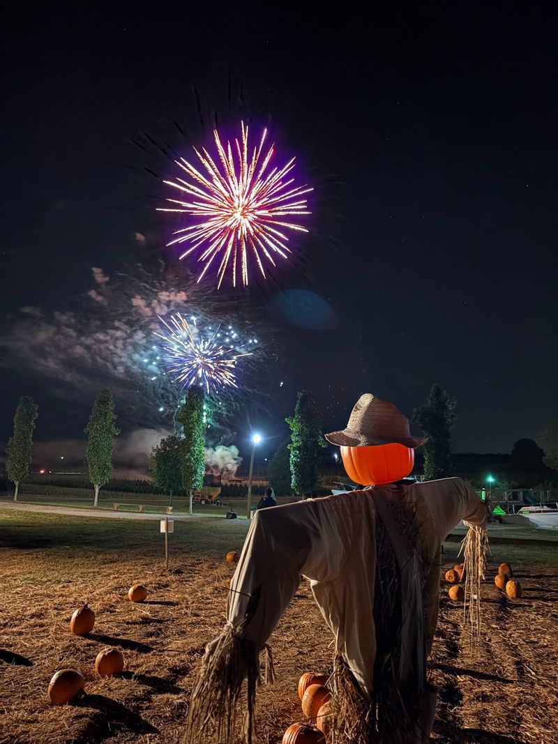 Bonfire Nights With Live Music By The Pond