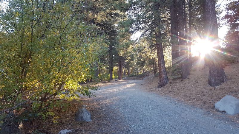 Galena Creek Regional Park, Nevada