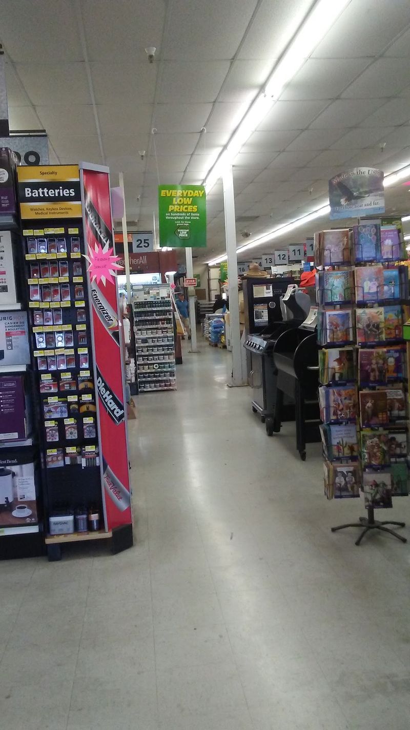 Snacks, Jerky And Sweet Surprises Near The Register