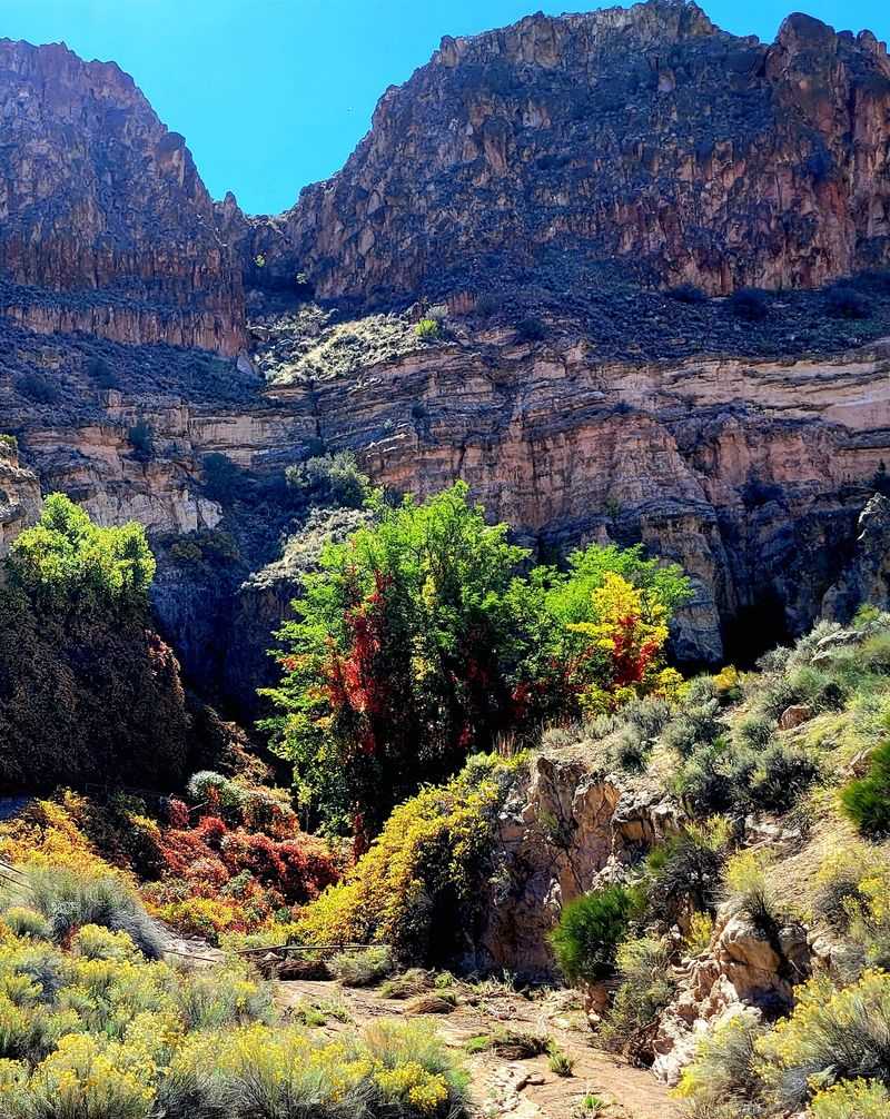 Kershaw-Ryan State Park, Caliente, NV
