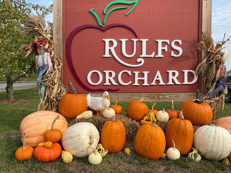 Twenty Five Acres Of Pumpkins