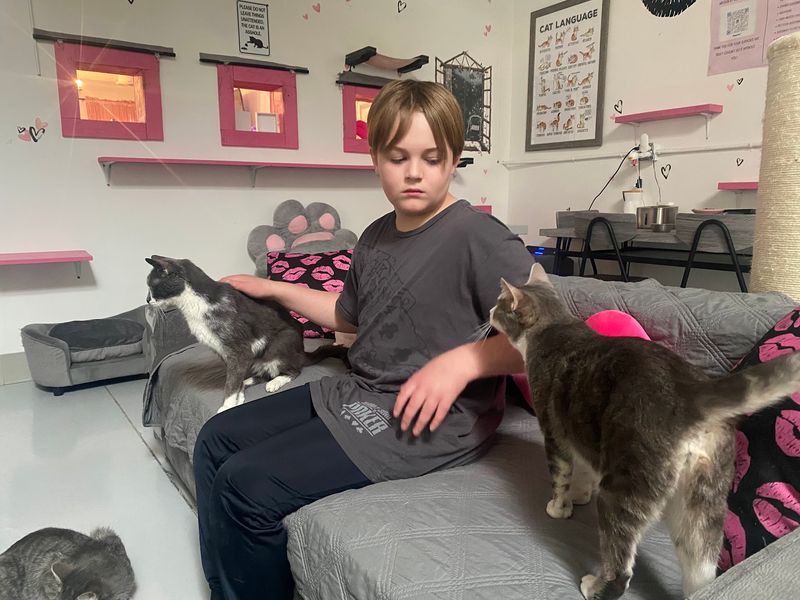 How Adoptions Come Together