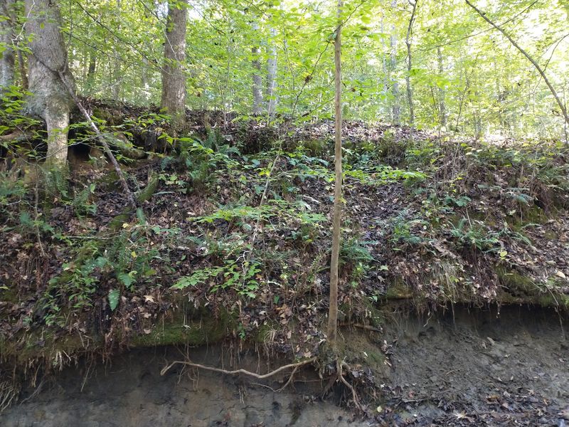Wet Feet, Muddy Knees, and No Strollers
