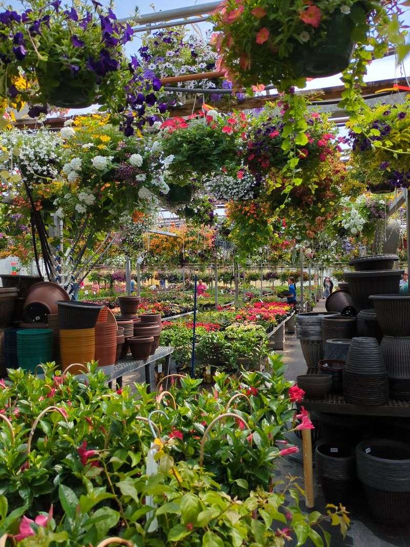 Pots, Soil, And Tools All Under One Roof