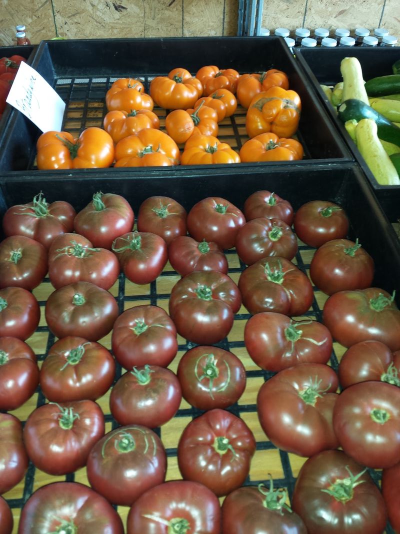 Natchez Farmers Market On The Bluff