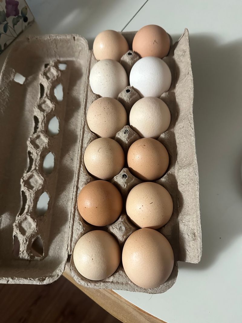 Local Milk and Pasture-Raised Eggs