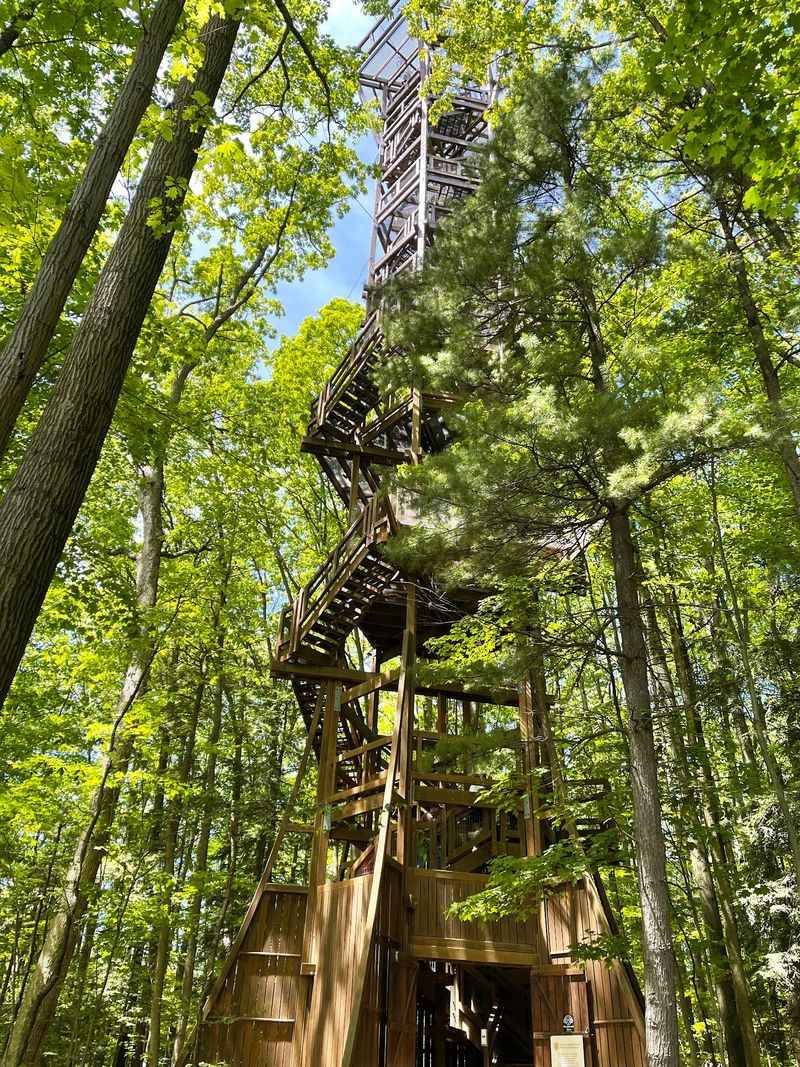 202 Steps Up the Kalberer Emergent Tower