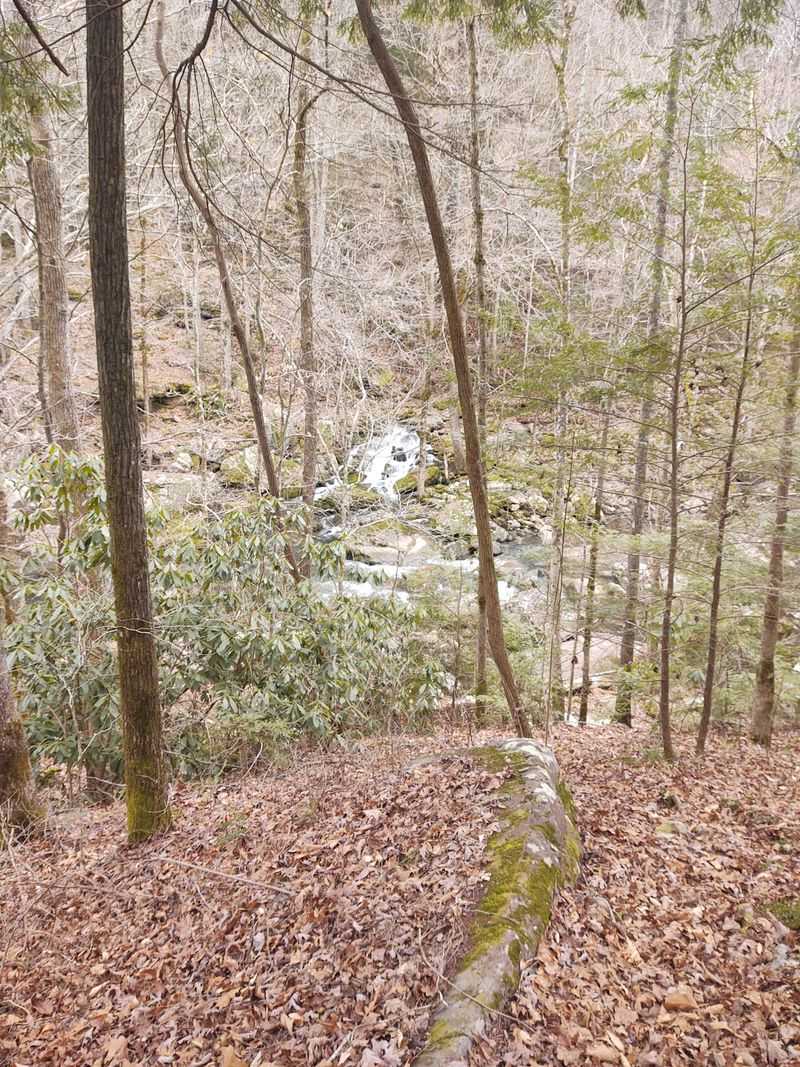 Big Creek Gulf Trail