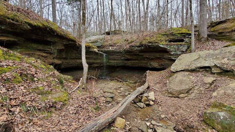 Disc Golf, Playgrounds, And Old-School Fun