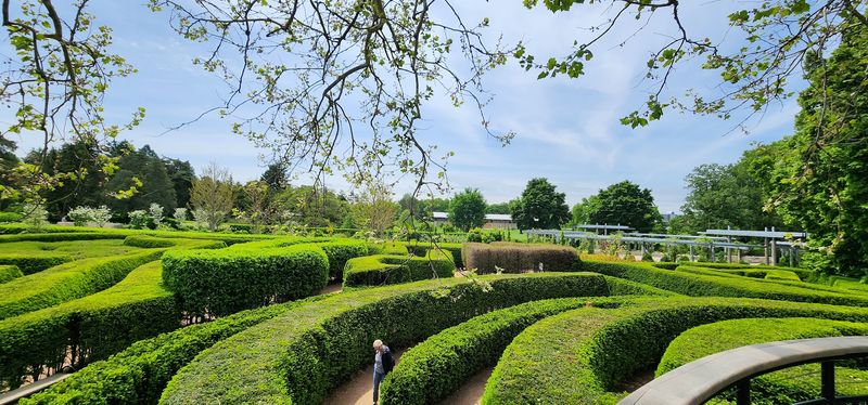 The Maze Garden And Its Twelve-Foot Lookout