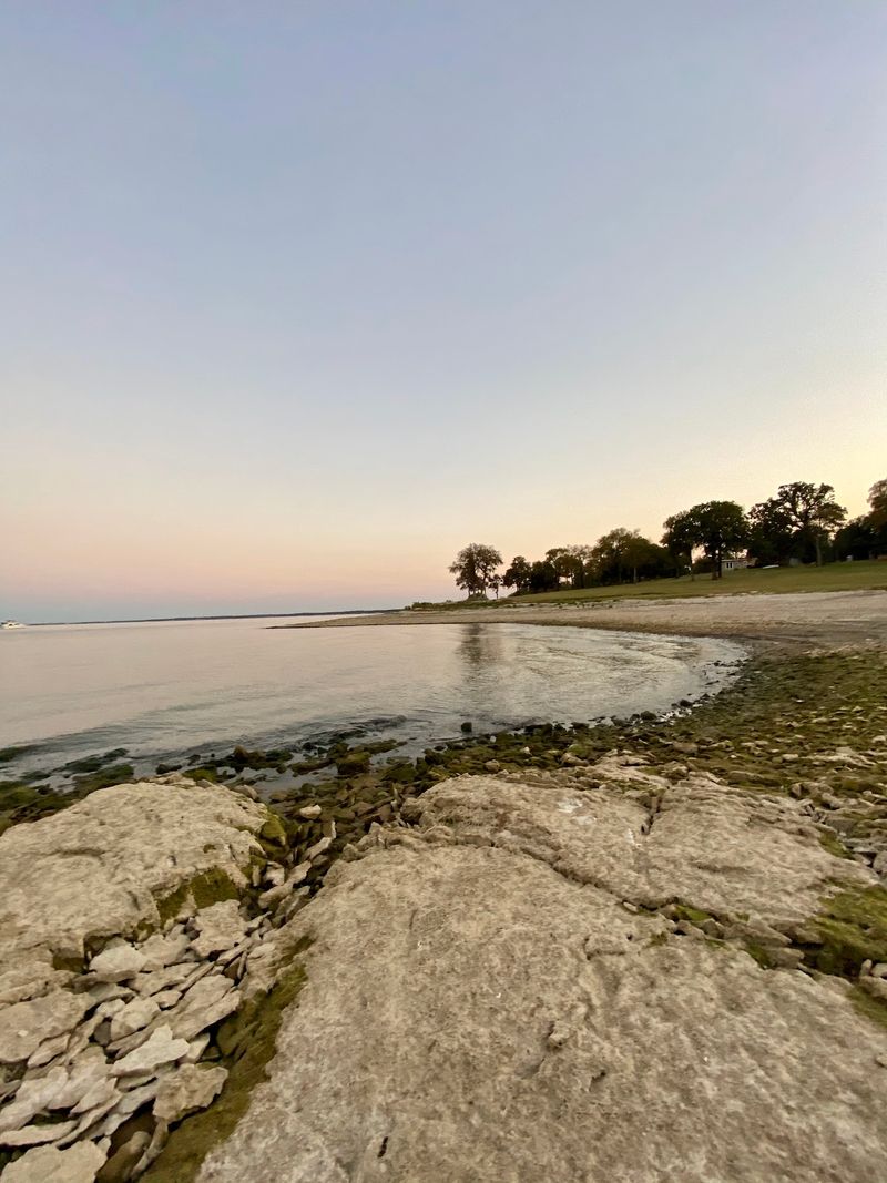 Fossils Beaches And Family Traditions
