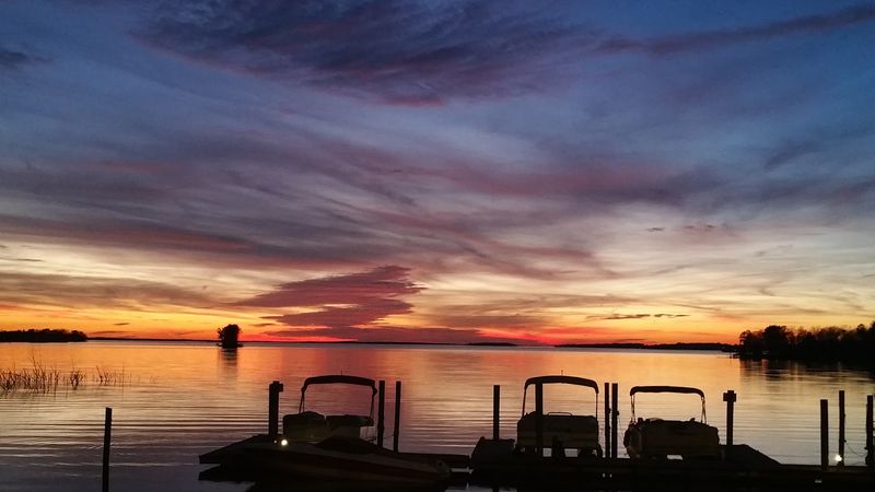 The Island Where The Sky Fills With Wings