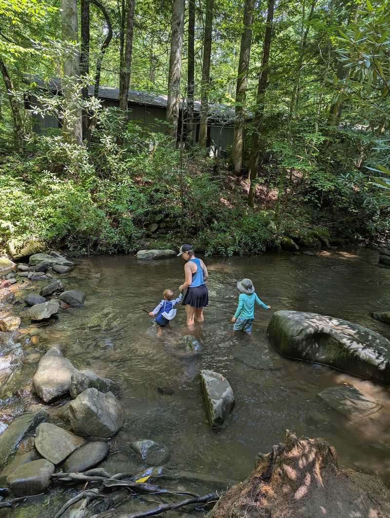 Creek Play That Steals the Show