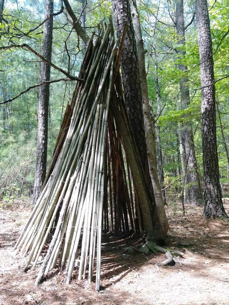 Annie Louise Wilkerson, MD Nature Preserve Park