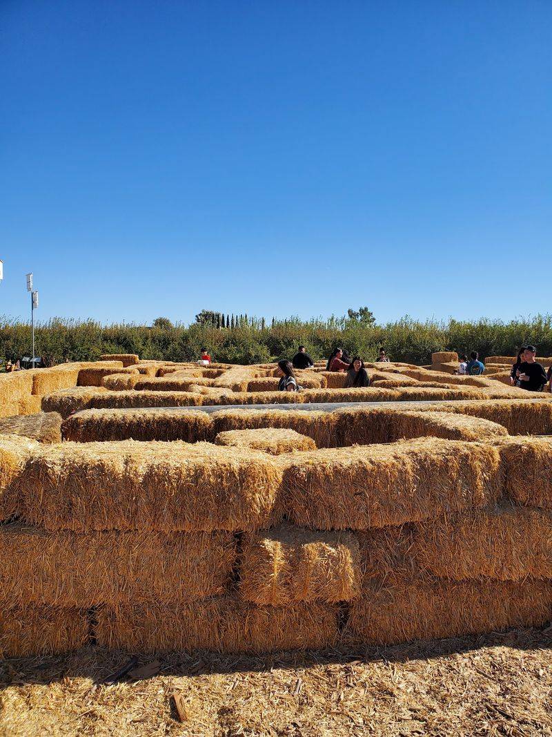 Mazes Built For Wandering