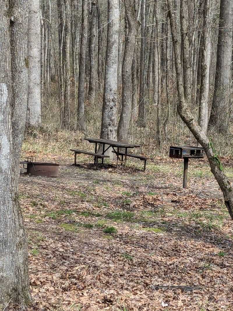 Rocky Springs Campground