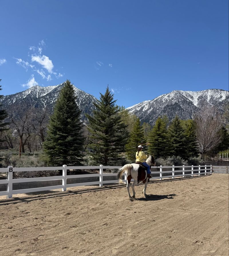 Riding Lessons That Build Real Confidence