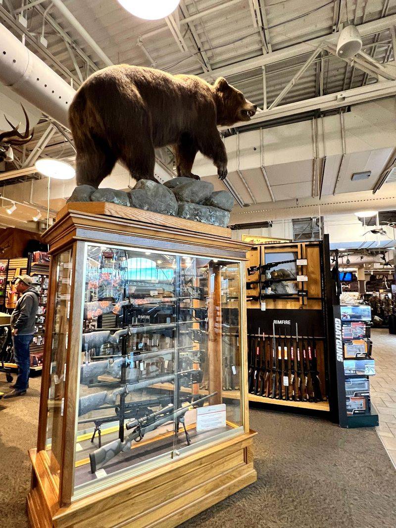 Gear Up For Every Outdoor Plan You Have