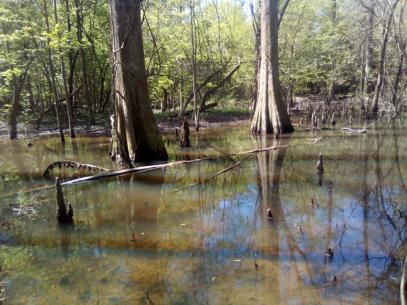 Moodys Landing, Brooklyn, MS