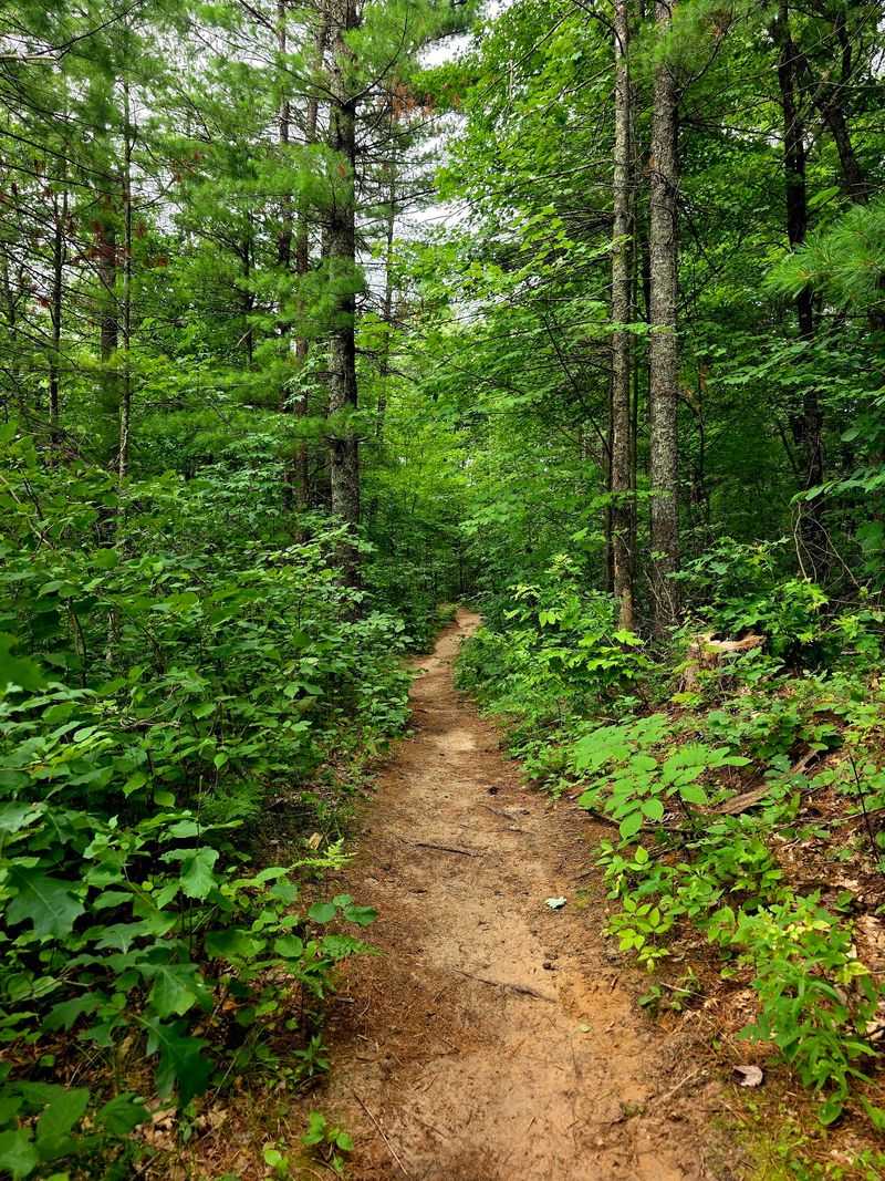 Trails Worth Exploring On Both Sides