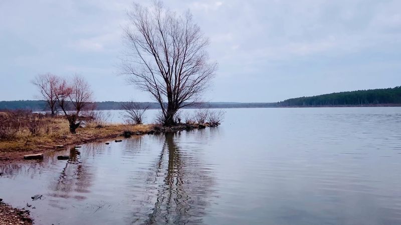 Wildlife Sightings Around Every Bend