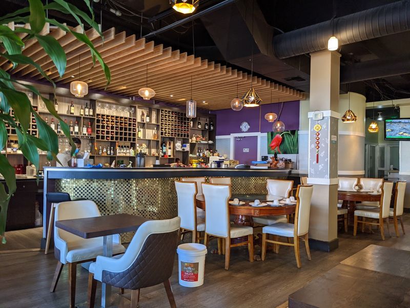 Purple Dot Cafe, Seattle