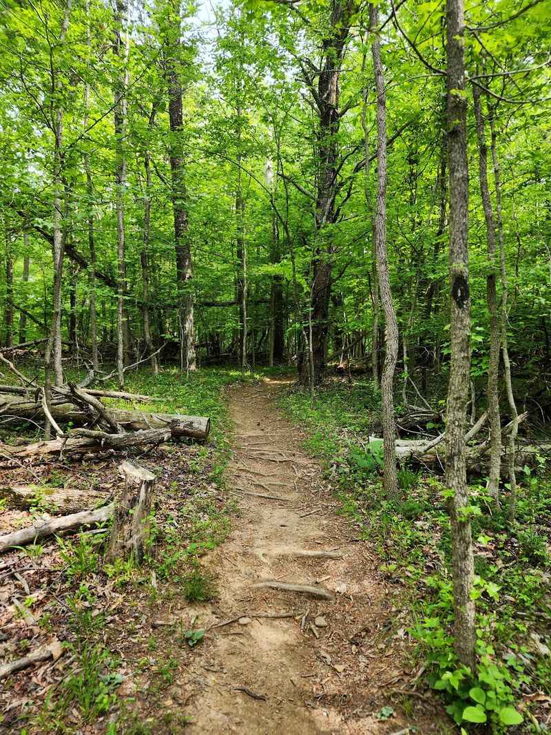 Warriors' Path State Park Mountain Bike Trail System, Kingsport