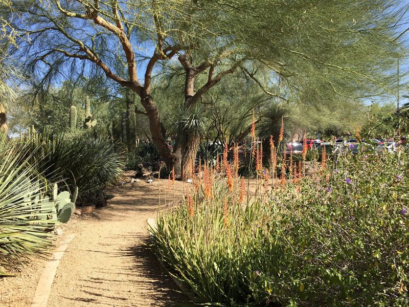 Books, Benches, And One Last Stroll