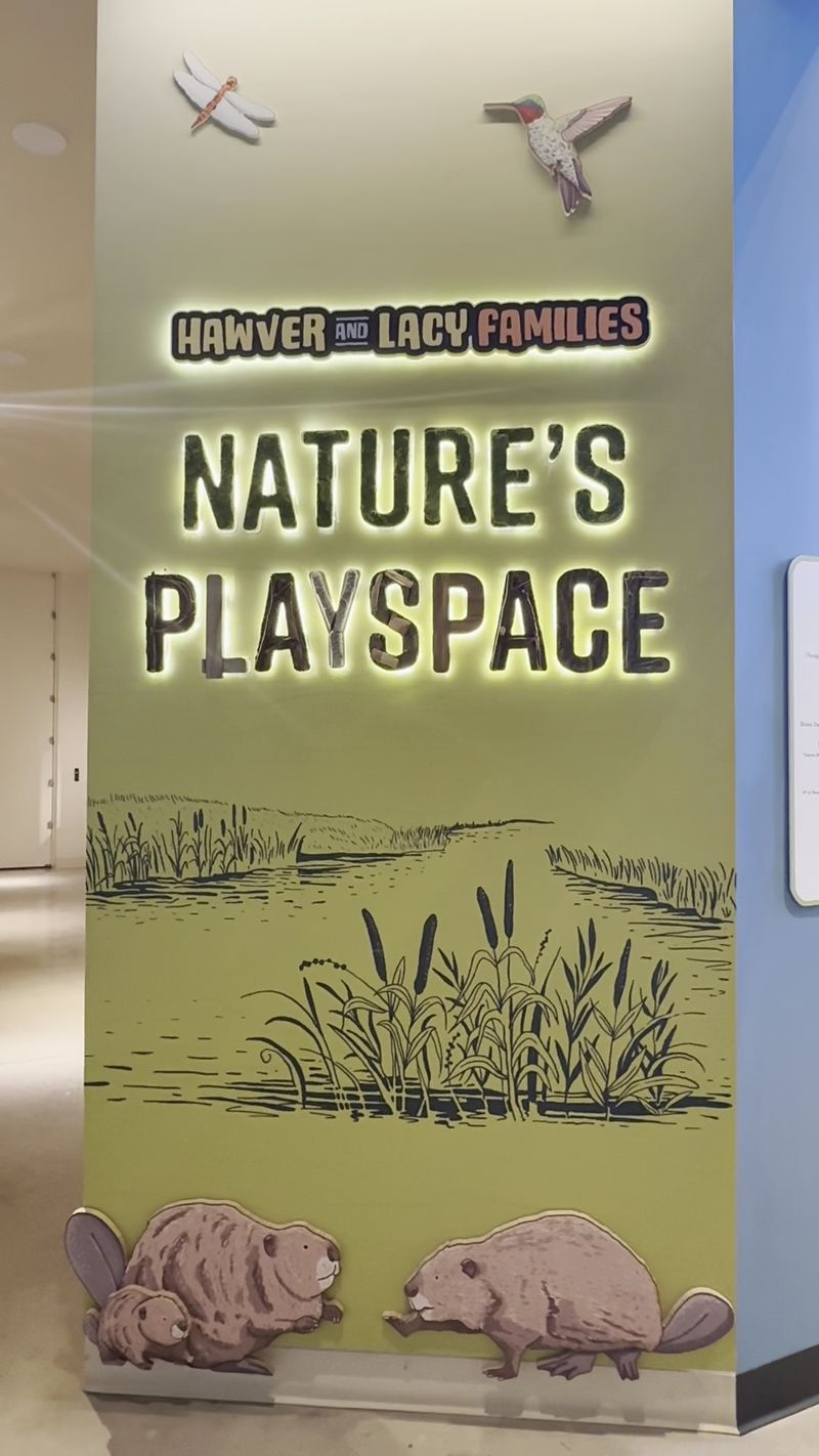 Play Spaces Sized for Little Explorers