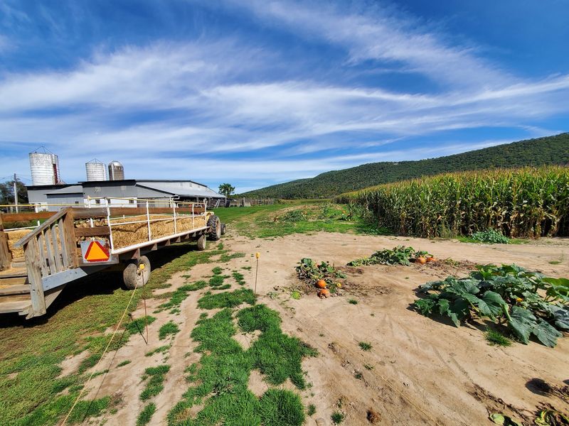 Climb Aboard The Tractor Wagon