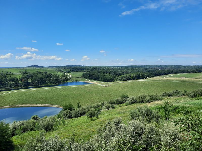 From Strip Mine to Sanctuary