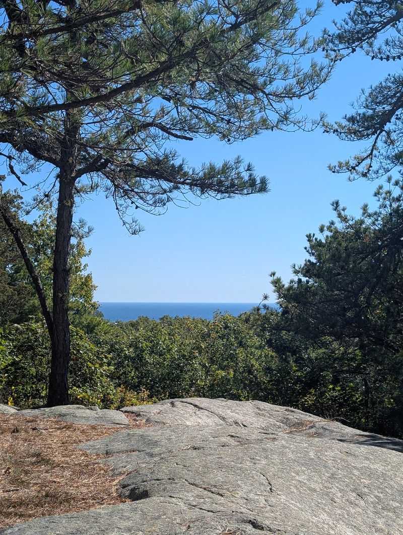 Climb Bungalow Hill For Panoramas