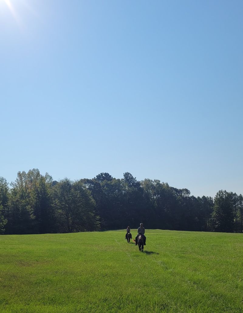 A Hundred Acres With No Fence On Your Imagination
