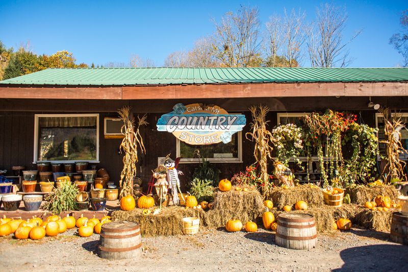 Catskill Mountain Country Store - Windham, NY