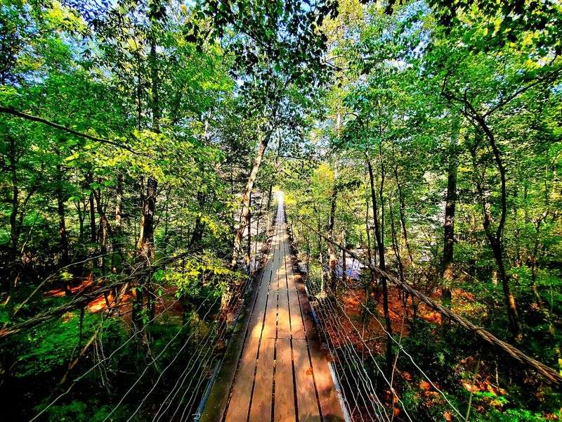 Piney Creek Falls And The Bridge That Bounces