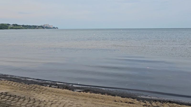 Shallow, Warm Water With Rules Attached