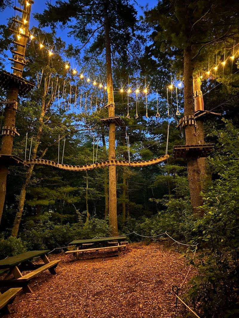 TreeTop Adventures