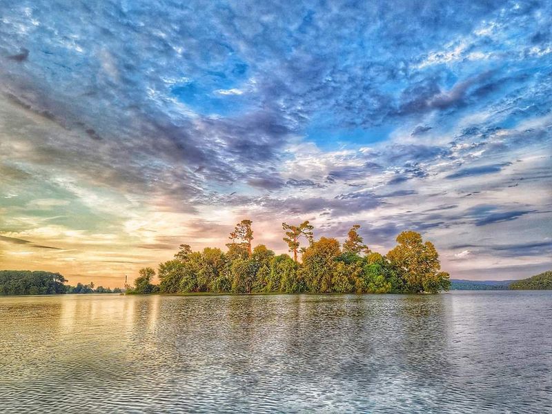 A Lakeside Spot Where Nature Shines 