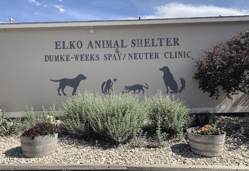 Elko Animal Shelter, Elko