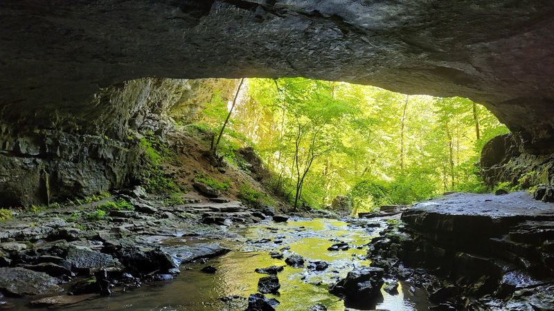 Buggytop Cave And Its Enormous Front Door