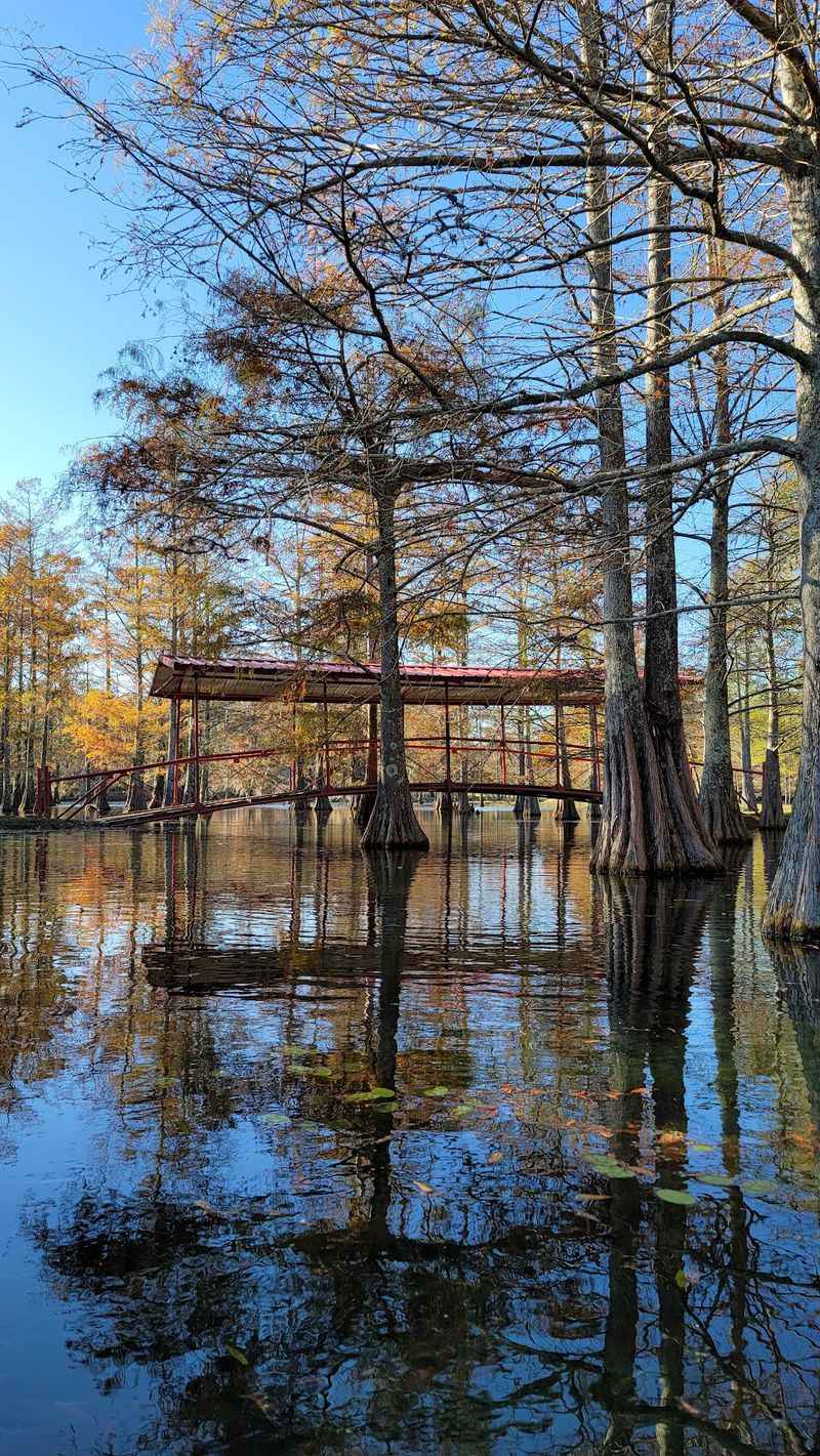Beyond The Lagoon