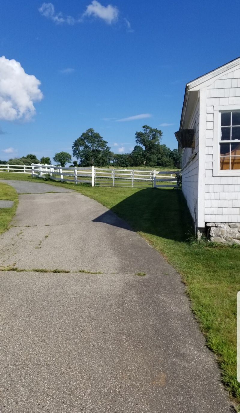 Ring's Island, A Riverside Neighborhood Frozen In Time