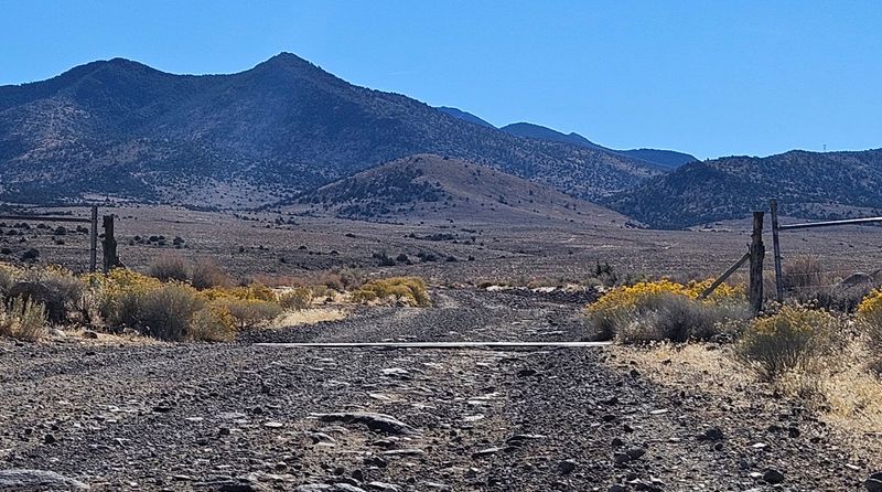 Johnson Valley, the Hard-Core Back Door