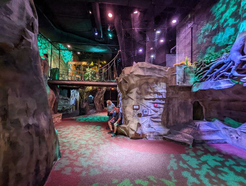 The Children's Museum