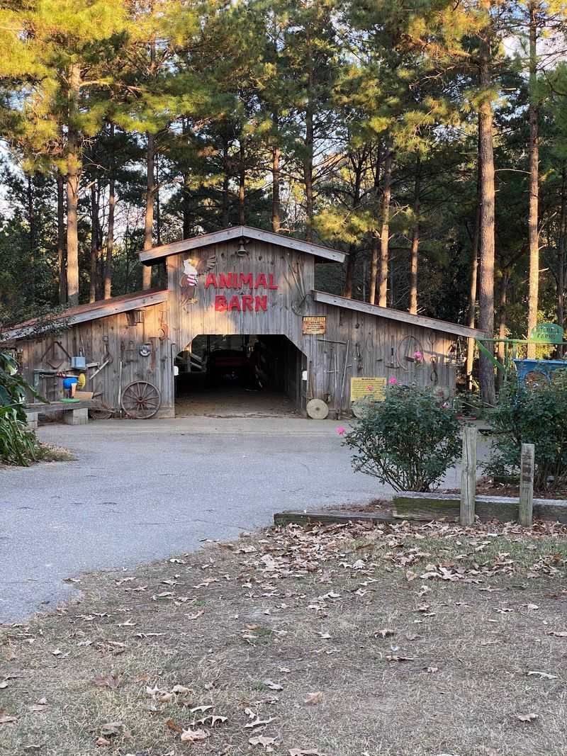 Pioneer Cabins Holding A Century Of Piney Woods History