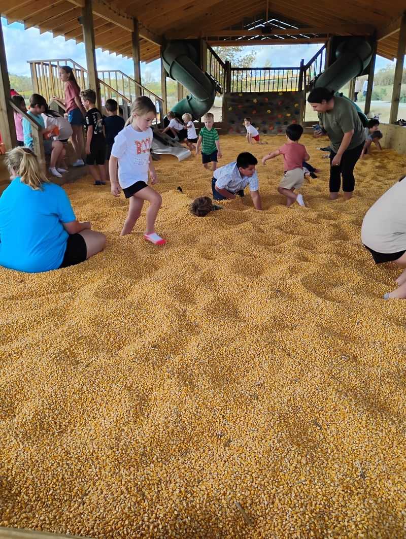 Twists and Turns of the Corn Maze