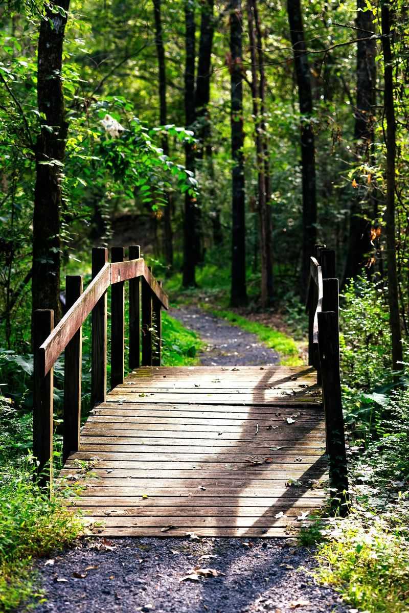 Clinton Community Nature Center - Clinton