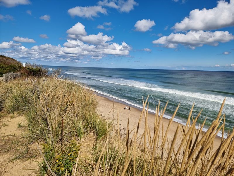 Cape Cod National Seashore
